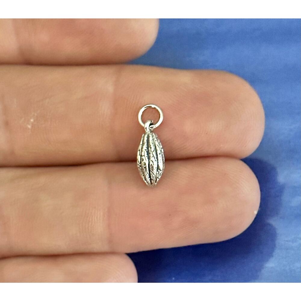 Sterling Silver 3D Cocoa Bean Charm